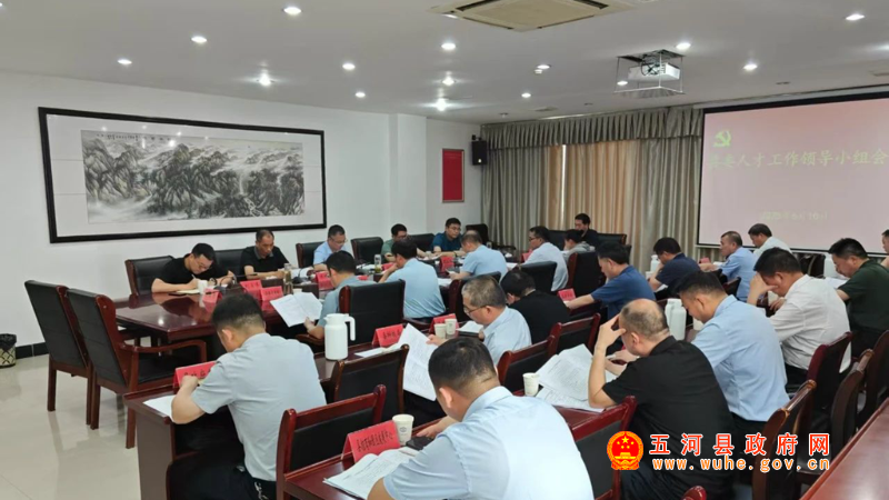 县委人才工作领导小组会议召开